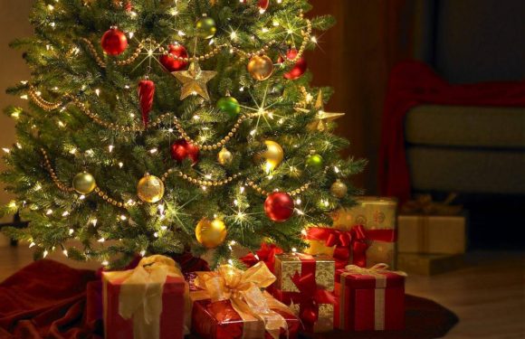 Quando montar a árvore de Natal? Quando montar a árvore de Natal?